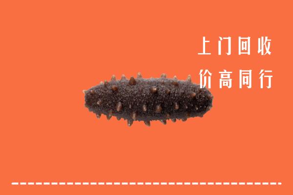 高价求购：兴安盟回收海参